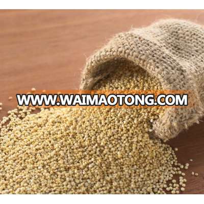 Quality Quinoa Grains in Bulk for Export