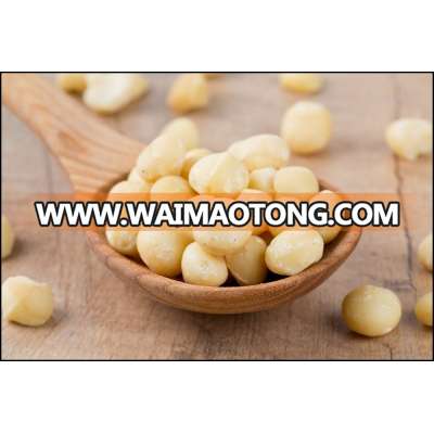 Best Grade A Quality Raw Organic Macadamia Nuts